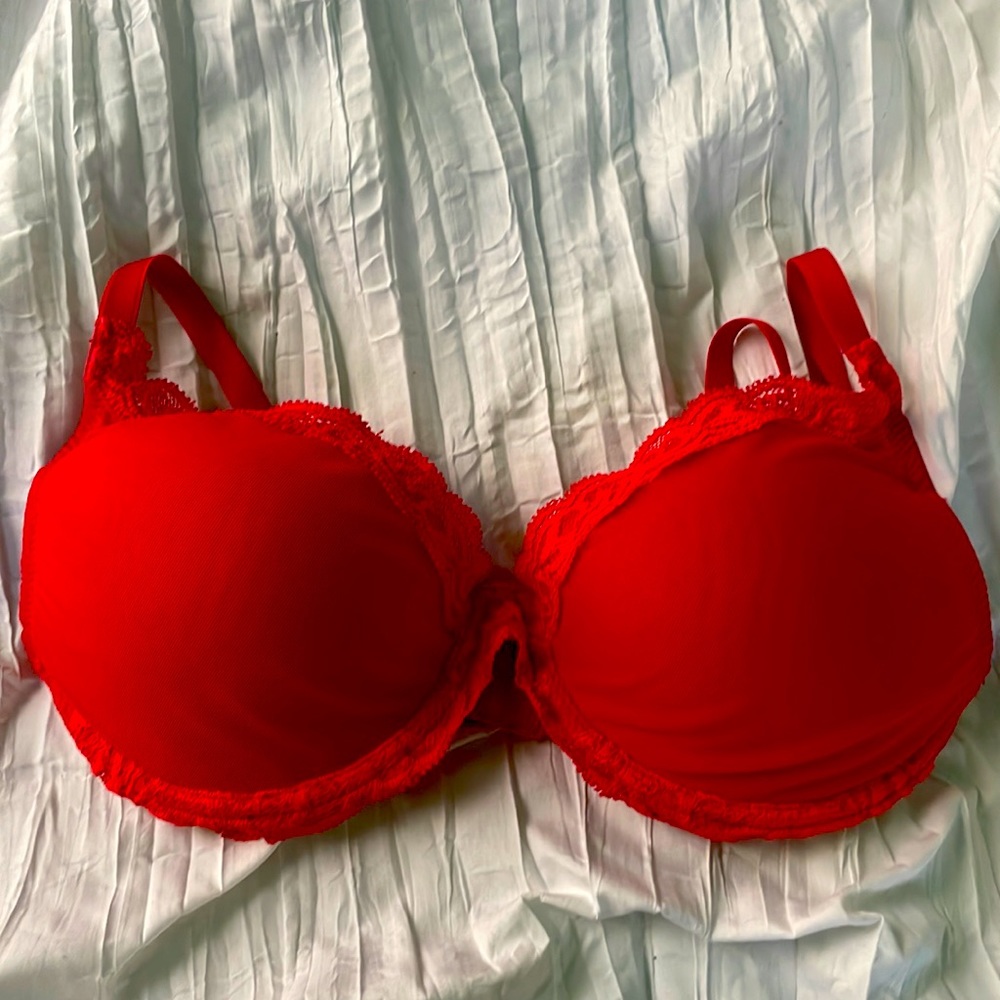 Natori Red Bra